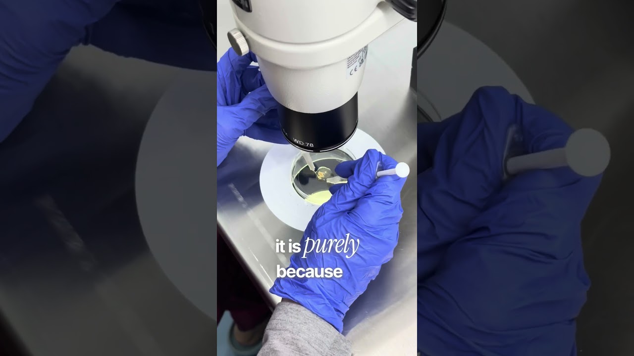 Testicular Sperm Retrieval!