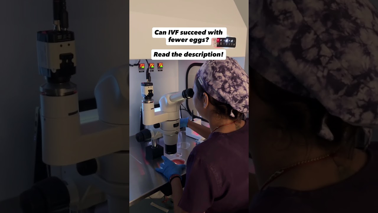 Can IVF succeed with fewer eggs?