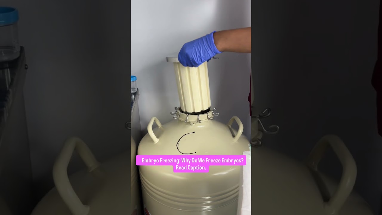 Embryo freezing is an important part of IVF