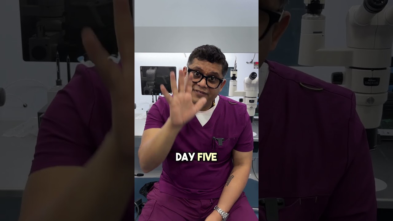 Day 2 vs Day 5 Transfer!