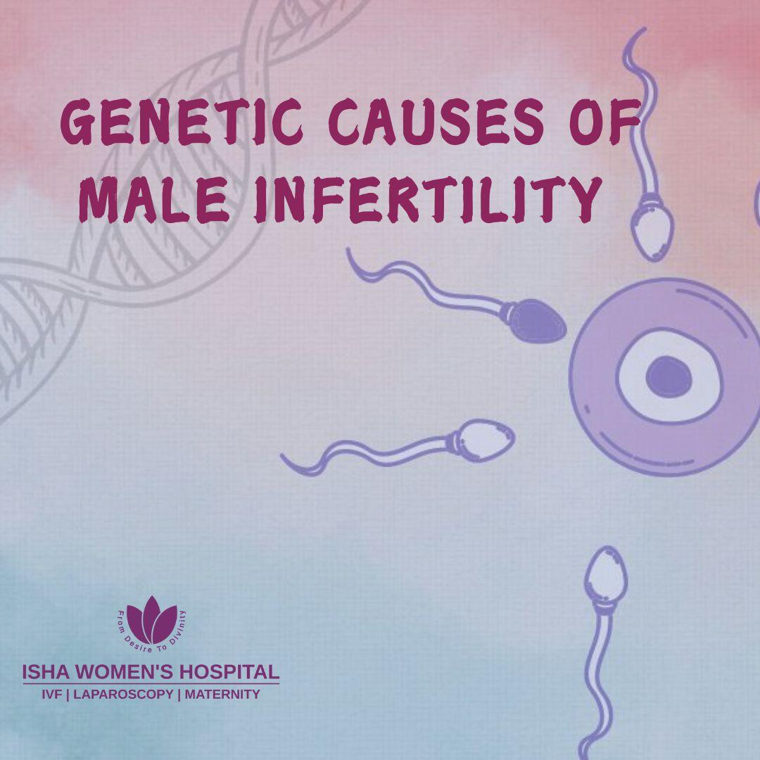 Genetic Causes of Male Infertility
