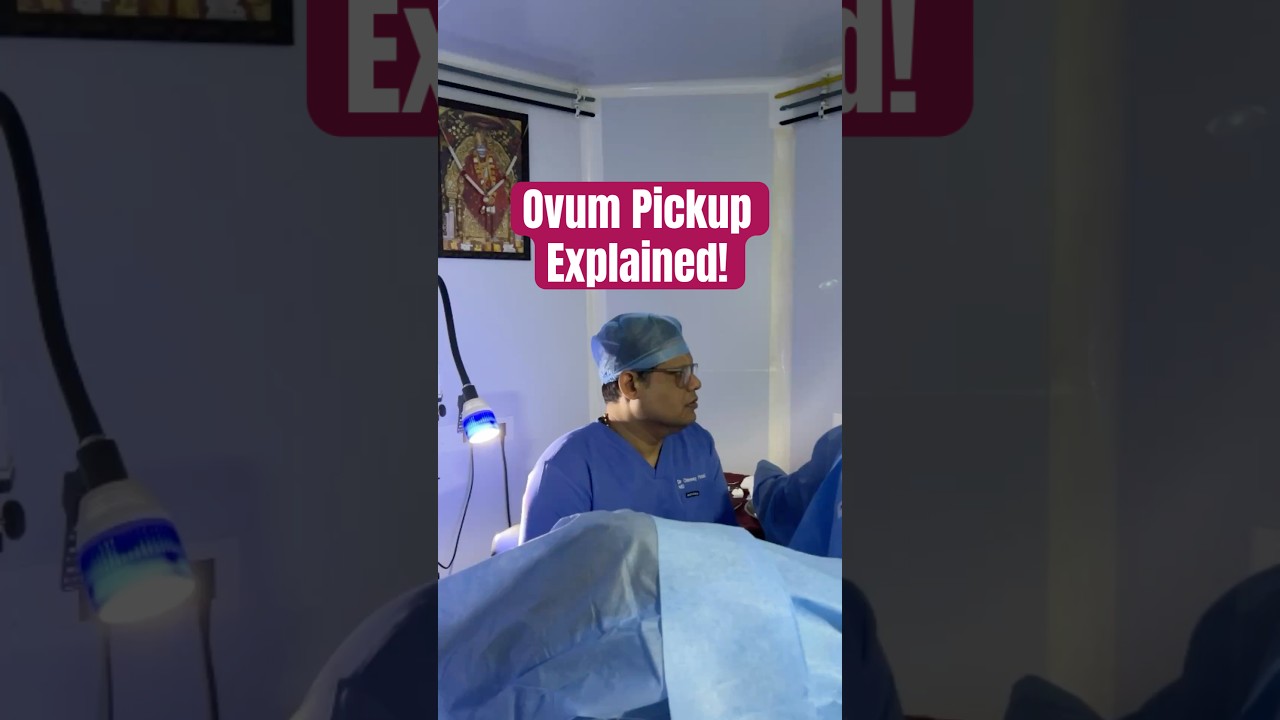 Ovum Pickup Explained!