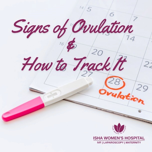 Signs of Ovulation & How to Track It