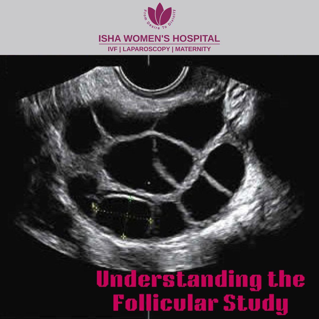 Understanding the Follicular Study