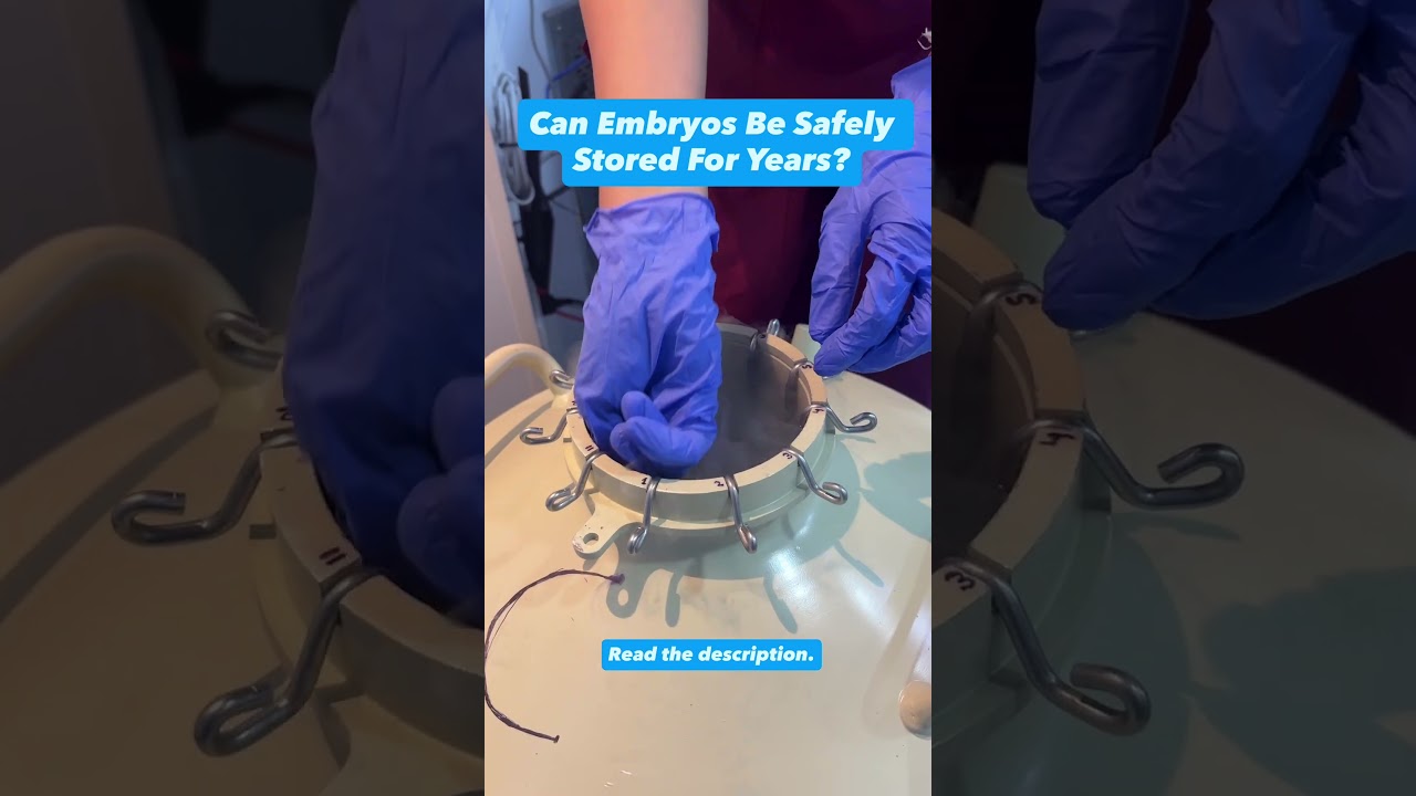 Can Embryos Be Safely Stored For Years?